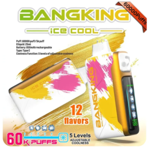 王嘉爾同款電子煙：bangking-60000